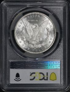 1884 CC Morgan Dollar PCGS MS 64 | Austin Coins