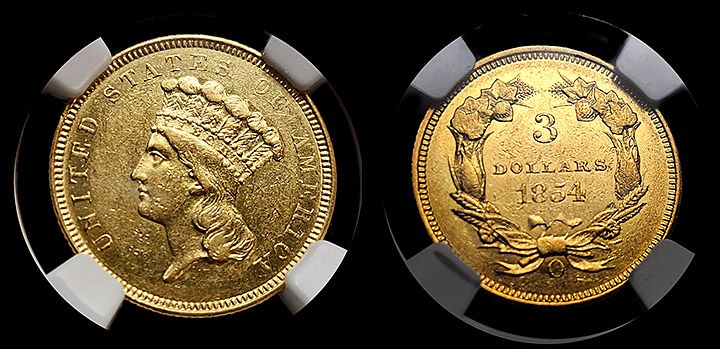 The Enigmatic $3 Indian Princess Coin